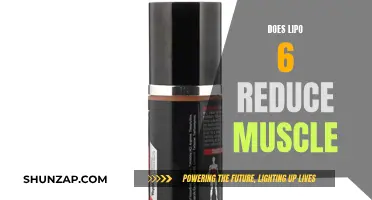 Lipo 6: Friend or Foe to Muscle Gain?