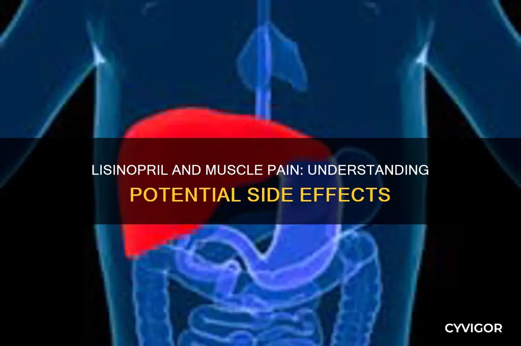 does lisinopril affect muscle pain