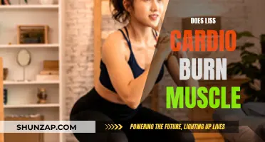 LISS Cardio: Friend or Foe to Muscle Mass?