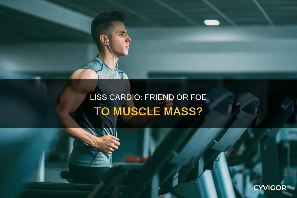 does liss cardio burn muscle