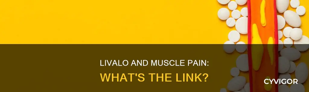 does livalo cause muscle pain