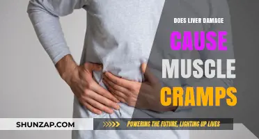 Liver Damage: The Link to Muscle Cramps
