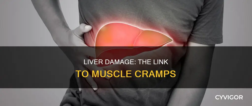 does liver damage cause muscle cramps