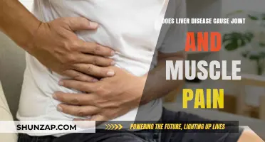 Liver Disease: Can It Cause Joint and Muscle Pain?