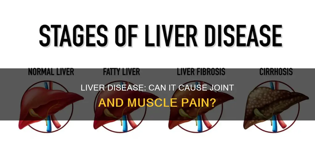 does liver disease cause joint and muscle pain