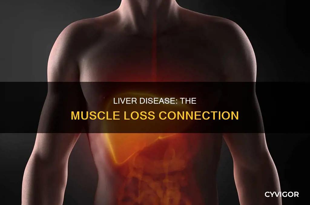 does liver disease cause muscle loss