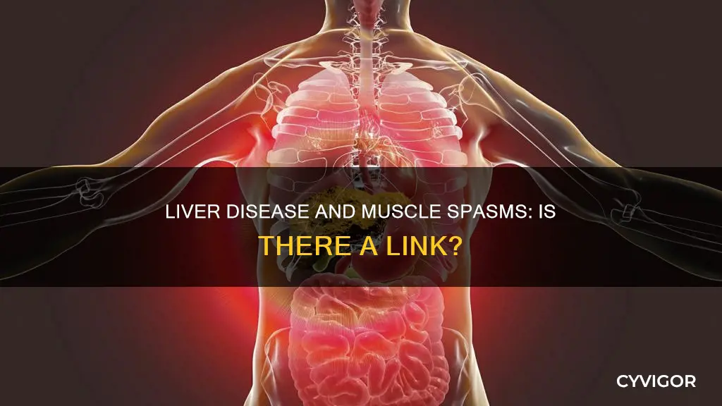 does liver disease cause muscle spasms