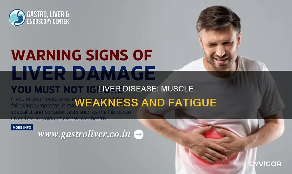 does liver disease cause muscle weakness