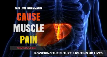 Liver Inflammation and Muscle Pain: Is There a Link?