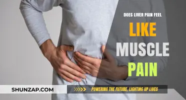 Liver Pain vs. Muscle Pain: Understanding the Key Differences