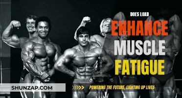 Load and Muscle Fatigue: Exploring the Performance Link