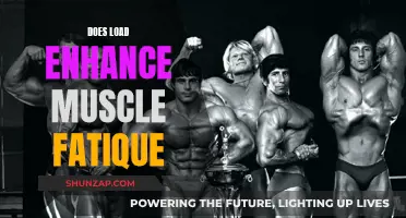 Understanding Muscle Fatigue: The Impact of Load Intensity
