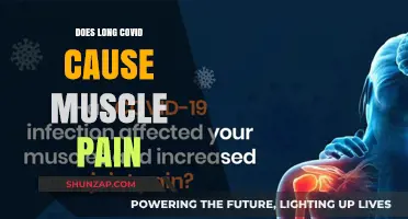 Long Covid: Understanding Muscle Pain