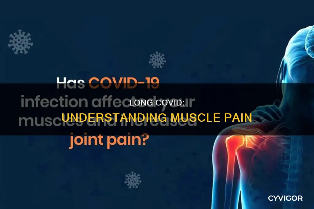 does long covid cause muscle pain