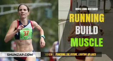 The Impact of Long-Distance Running on Muscle Development