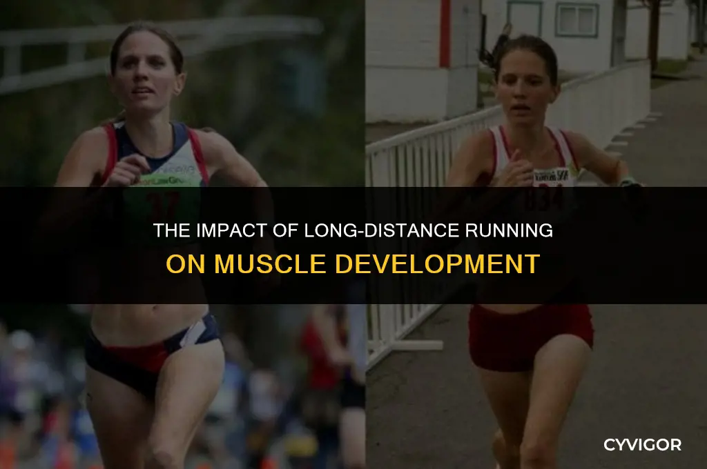 does long distance running build muscle