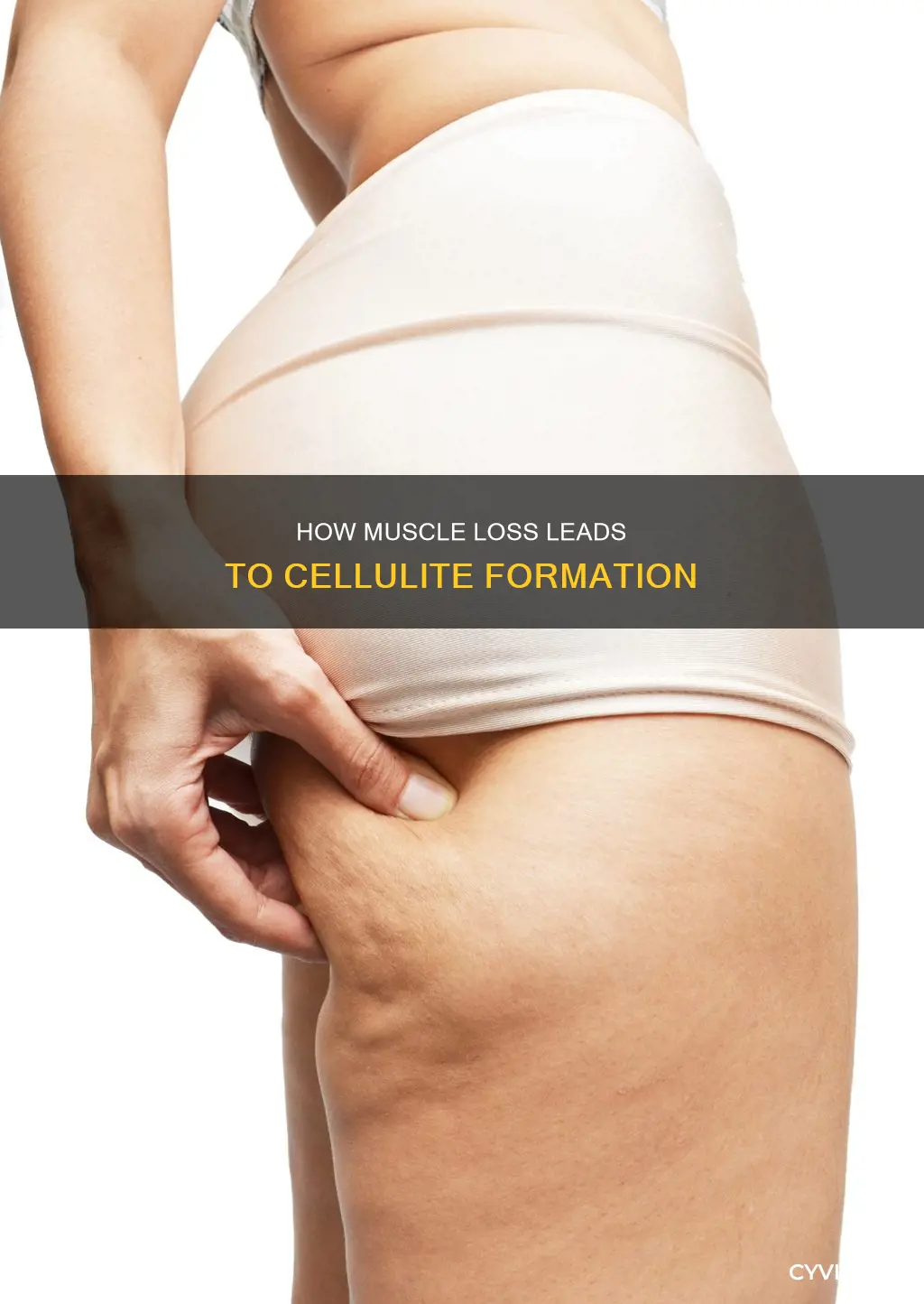 does losing muscle cause cellulite