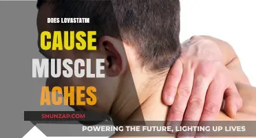Lovastatin Side Effects: Muscle Aches and Pains