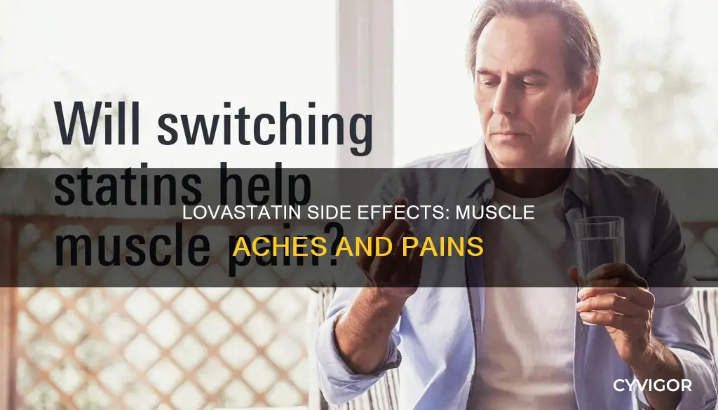 does lovastatin cause muscle aches