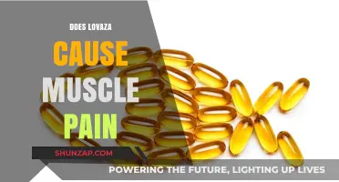 Lovaza and Muscle Pain: What's the Link?