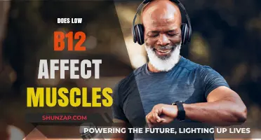 Exploring the Impact of Low B12 on Muscle Health and Function
