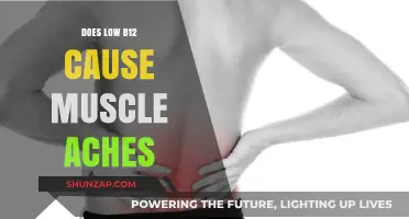 How B12 Deficiency Causes Muscle Aches and Pains