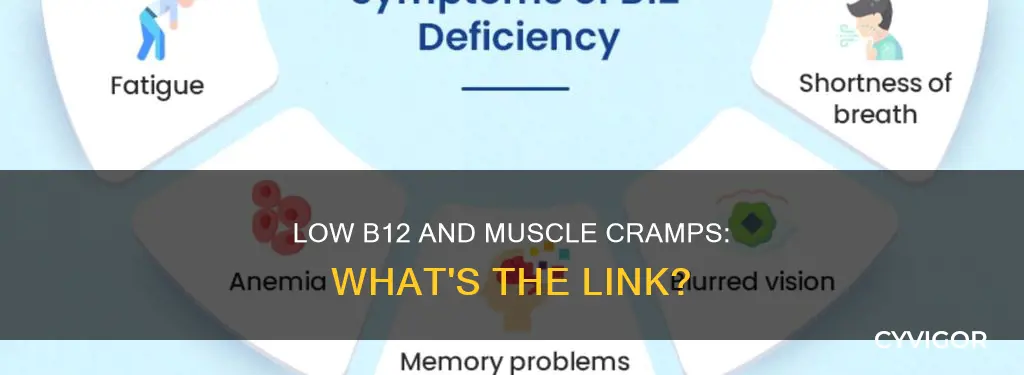 does low b12 cause muscle cramps
