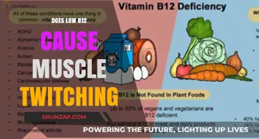 Low B12 and Muscle Twitching: What's the Link?
