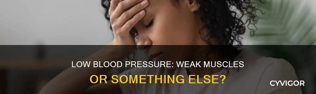 does low blood pessure cause weak muscle tone