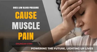 Low Blood Pressure: Can It Cause Muscle Pain?