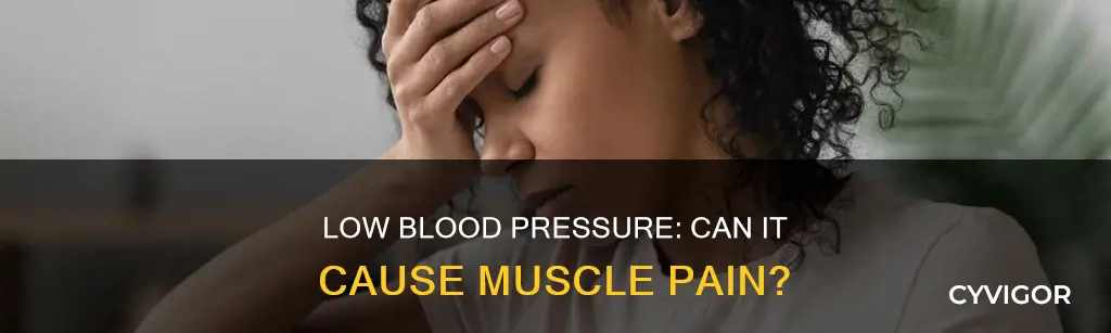 does low blood pressure cause muscle pain