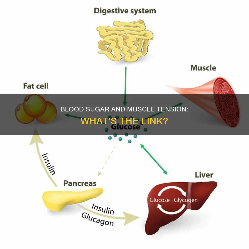 does low blood sugar cause muscle tension