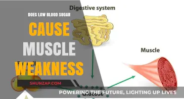 Low Blood Sugar: Muscle Weakness and Fatigue