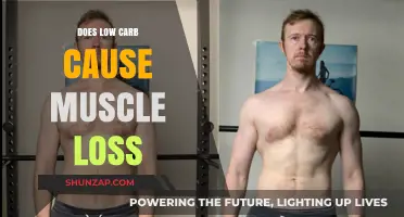 Low Carb and Muscle Loss: What's the Truth?