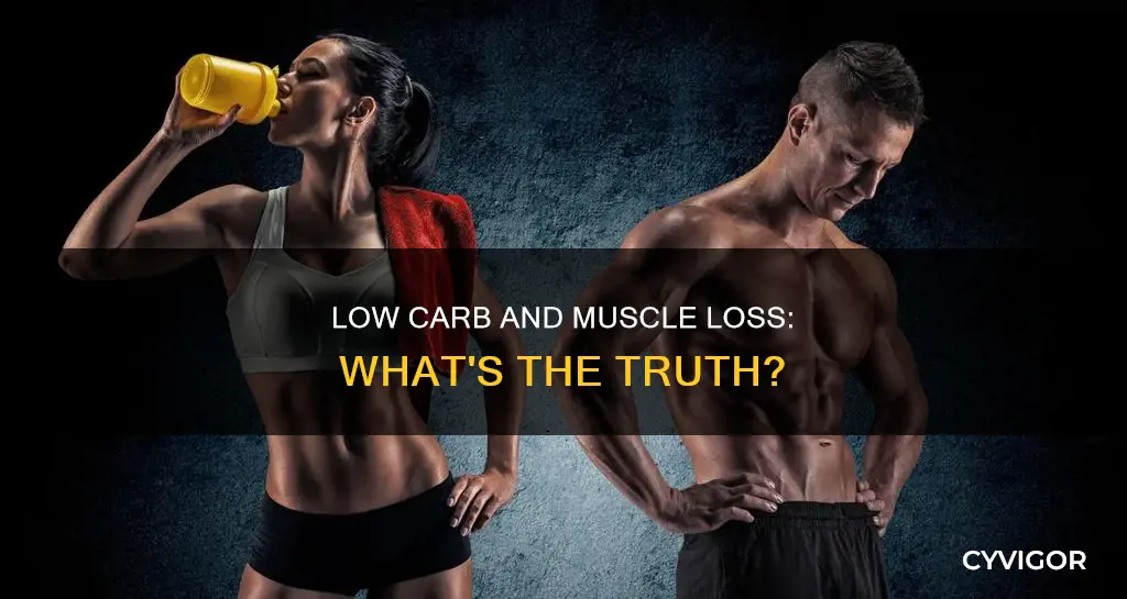 does low carb cause muscle loss
