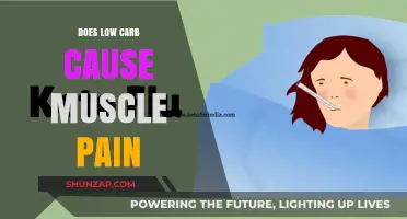Low-Carb Diets: Can They Cause Muscle Pain?
