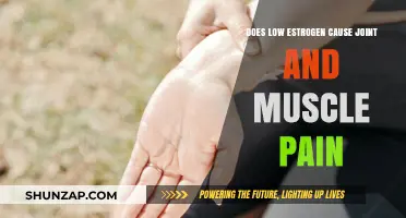 Estrogen's Link to Joint and Muscle Pain