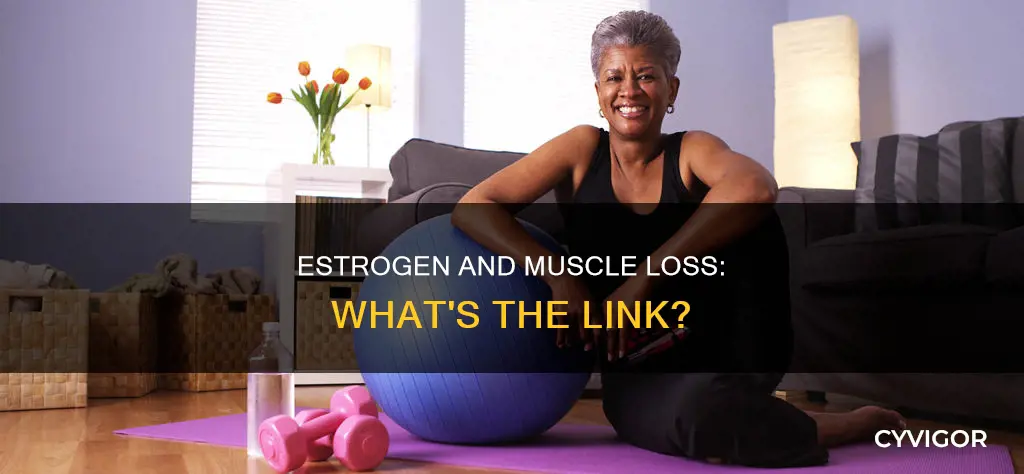 does low estrogen cause muscle loss