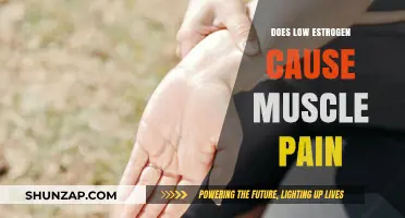 Estrogen and Muscle Pain: What's the Link?