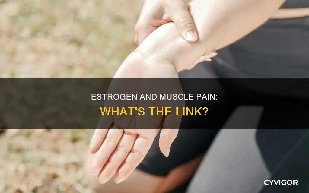 does low estrogen cause muscle pain