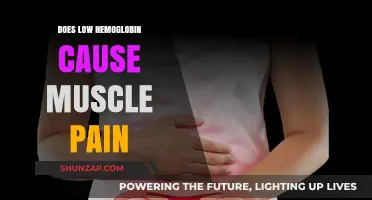 Low Hemoglobin: A Cause of Muscle Pain and Weakness?
