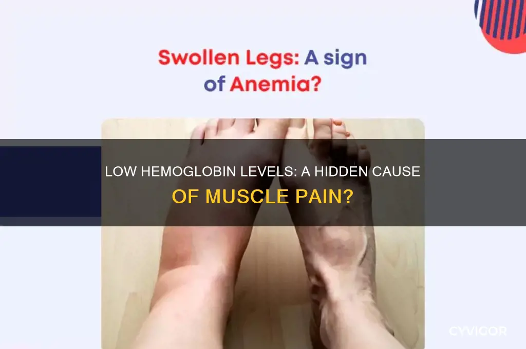 does low himoglobin level leads to muscle pain