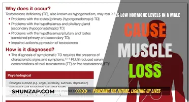 Low Testosterone: Muscle Loss and Male Hormones