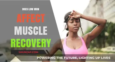 Iron Deficiency and Muscle Recovery: What You Need to Know
