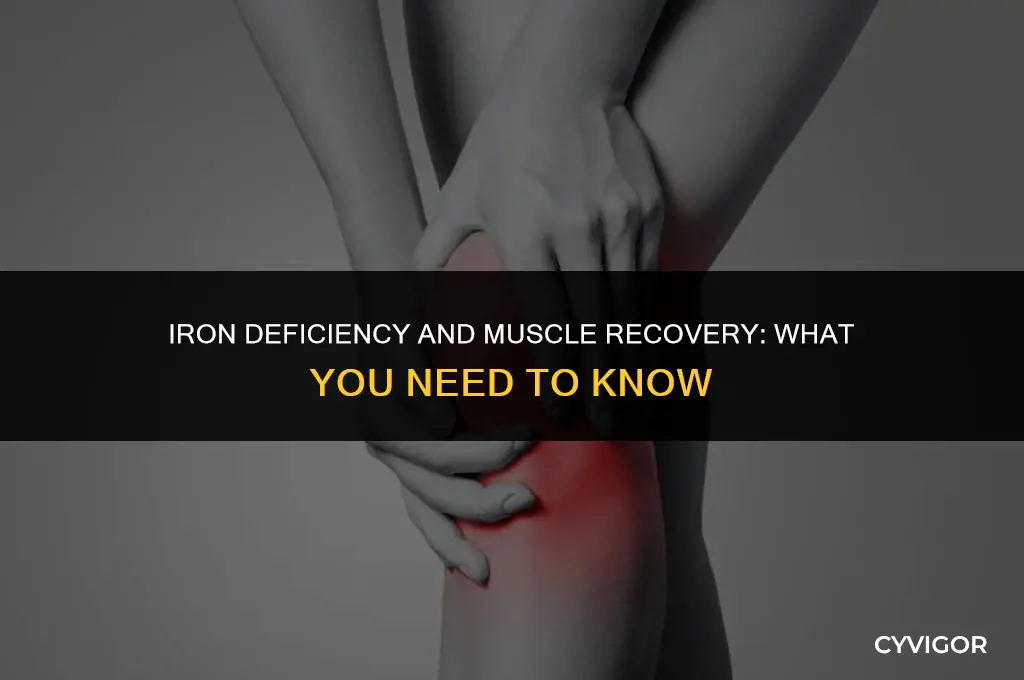 does low iron affect muscle recovery