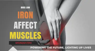 Unveiling the Impact of Low Iron on Muscle Health and Performance