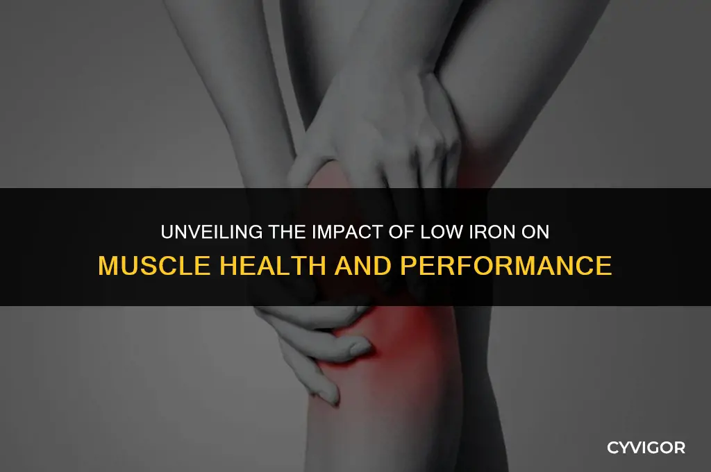 does low iron affect muscles