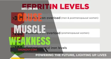 Iron Deficiency and Muscle Weakness: What's the Link?