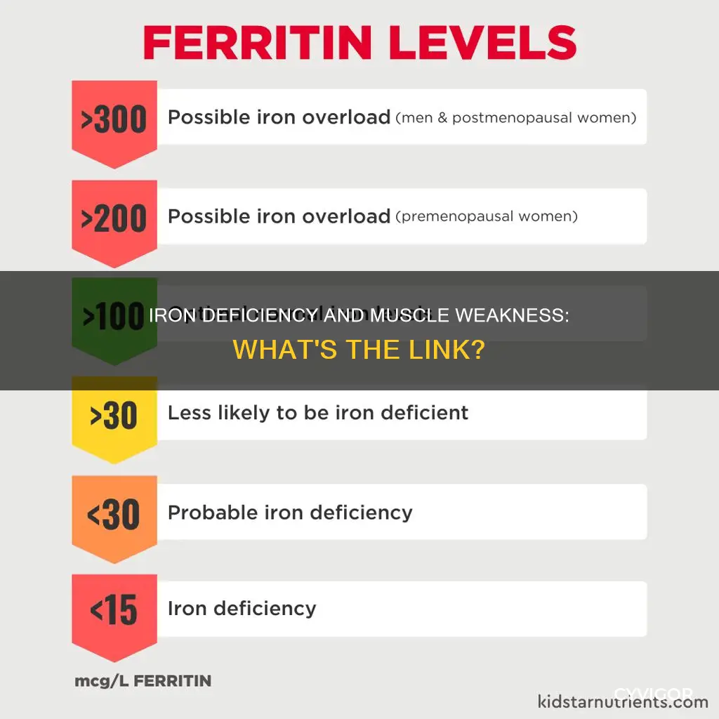 does low iron cause muscle weakness