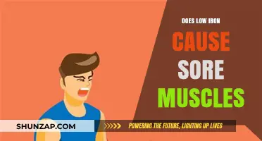 Iron Deficiency: The Link to Muscle Soreness